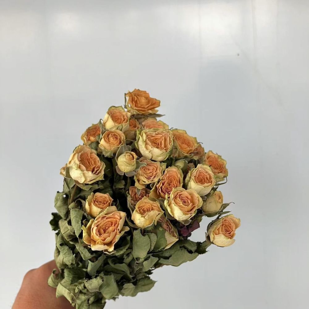 진짜 보존 처리된 장미, 드라이 플라워 다발, 자연 그 - Resin Art Rose 리뷰 및 가격