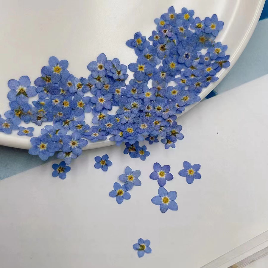 60개입 미니 압화 꽃 - 사진 액자, 레진 주얼리,  - Resin Art Case 리뷰 및 가격